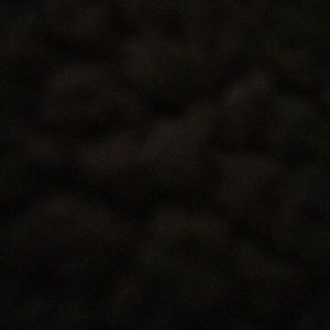 Meet your Posher, Mel